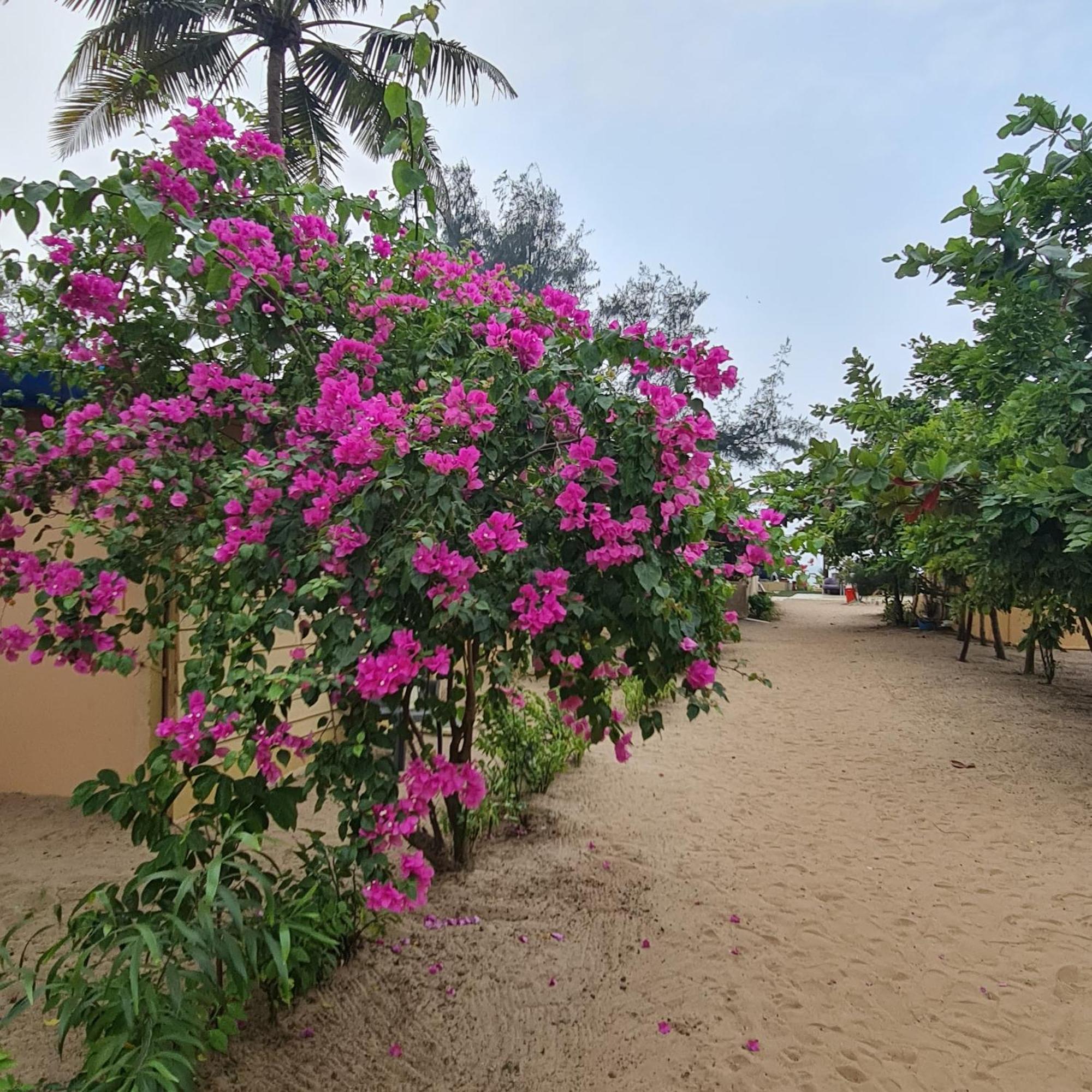 ארמבול Love Temple Beach Resort מראה חיצוני תמונה